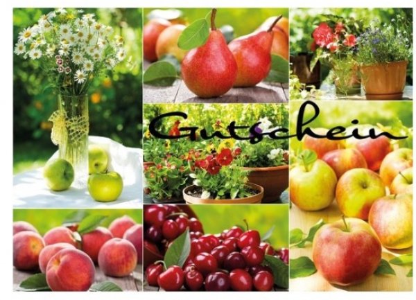 Geschenkgutscheine 11x15,5 cm Obst und Blumen
